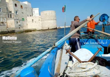 Molfetta: Torrione Passari