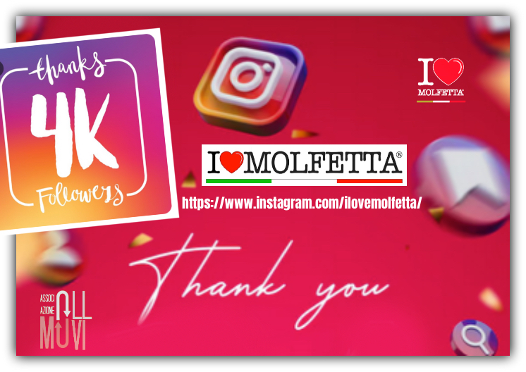 Il profilo Instagram @ilovemolfetta supera i 4.000 follower