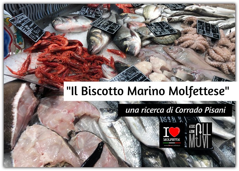 Il biscotto marino molfettese