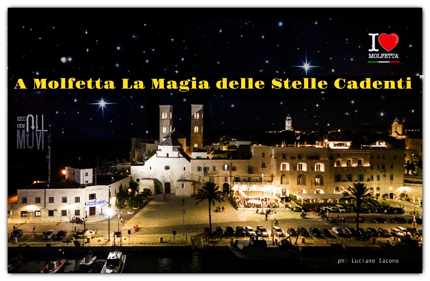 La notte di San Lorenzo: le stelle cadenti protagoniste del cielo La notte di San Lorenzo: le stelle cadenti protagoniste del cielo