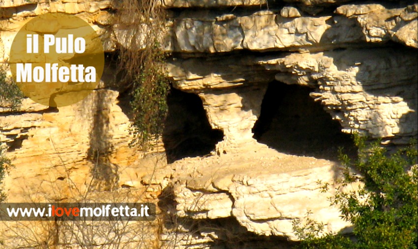 L'ecosistema del Pulo di Molfetta