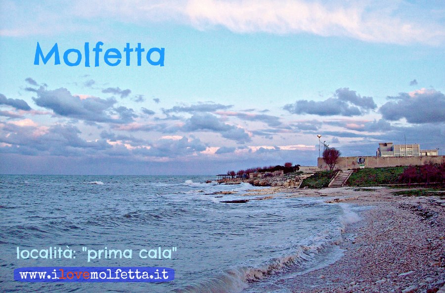 Centro di Recupero Tartarughe Marine