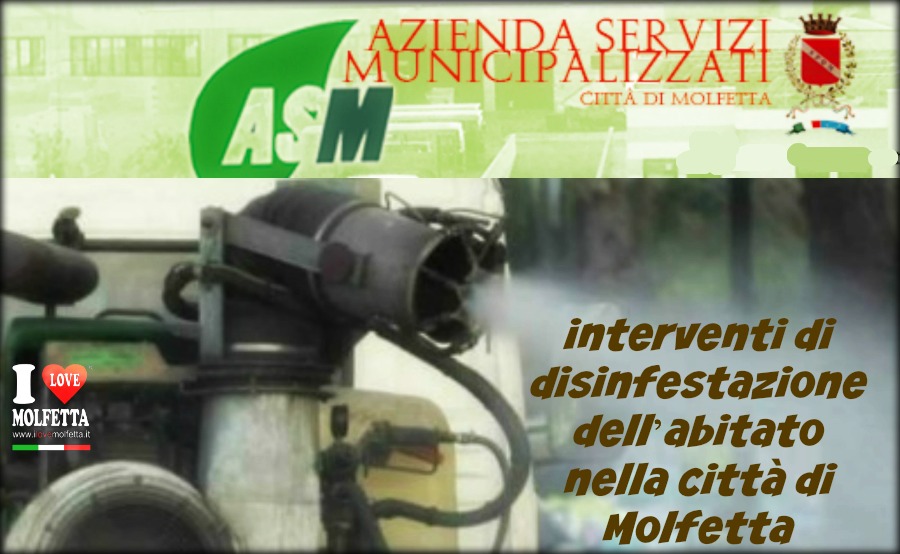 Effettuato il trattamento di disinfestazione