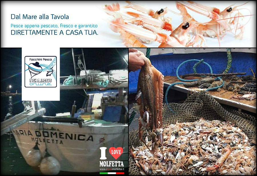 Pescherecci 2.0, il pesce si vende sui social