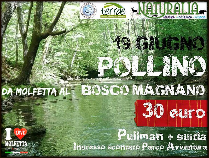 Da Molfetta escursione sul Pollino
