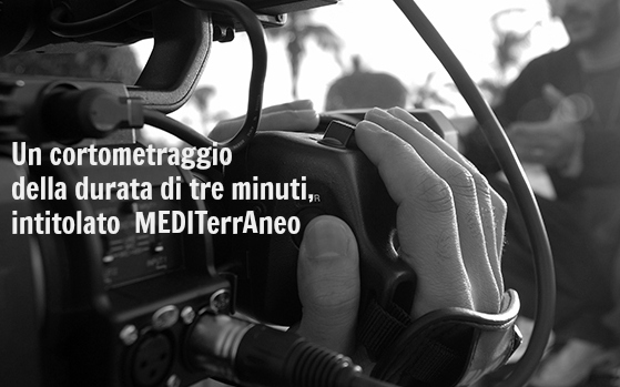 Concorso A.M. Mezzina: MEDITerrAneo
