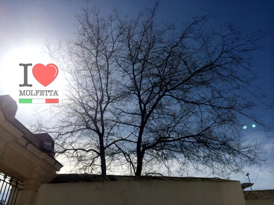 L'estate finisce alle 16.21, e iniziera' l'autunno