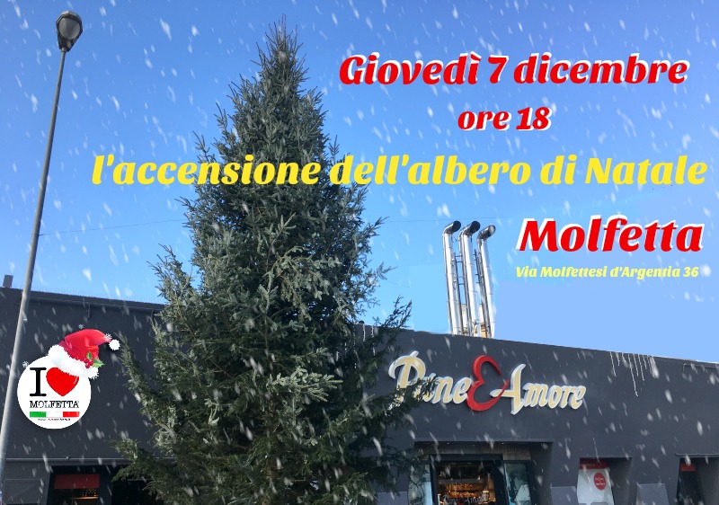 Questa sera, a Molfetta, si accende l ' albero di Natale
