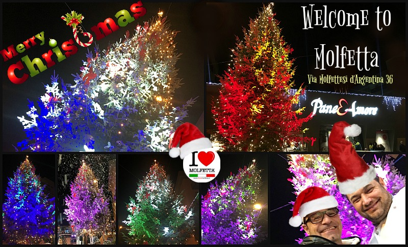 Un grande show per l ' albero di Natale: luci, musica e... la neve