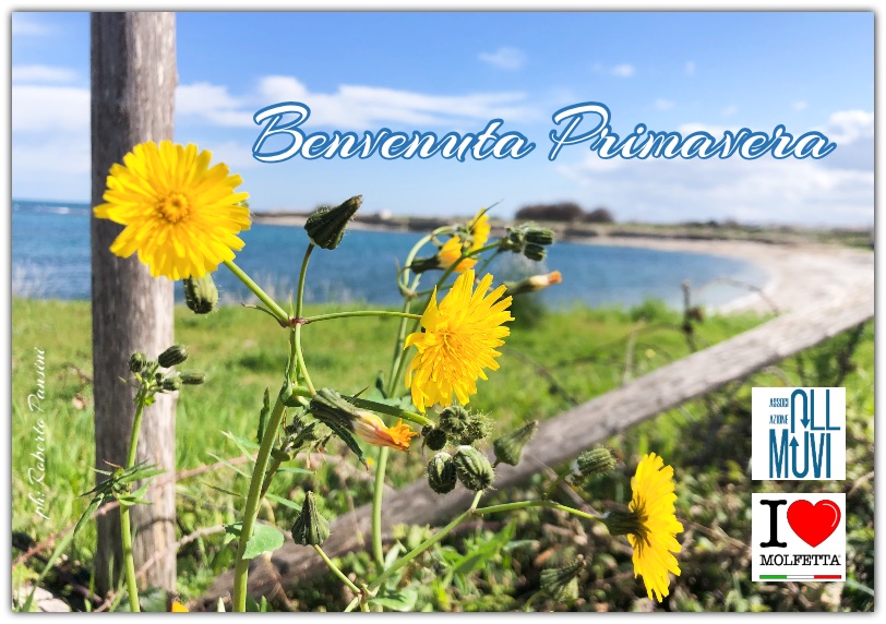 Arriva la primavera 21 marzo: a Molfetta tutto sembra risvegliarsi