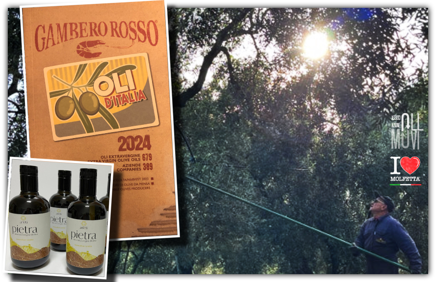 Olio Extra Vergine di Oliva: Made in Molfetta