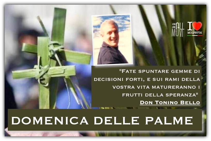 La Domenica delle Palme: Una Giornata di Pace da Molfetta nel Mondo