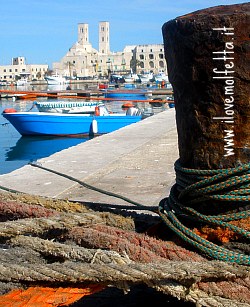 I LOVE MOLFETTA - Polis parte 3