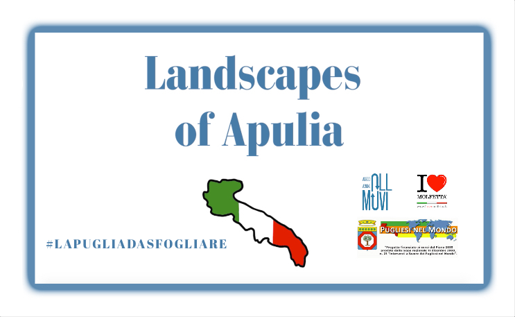 La Puglia da sfogliare: landscapes